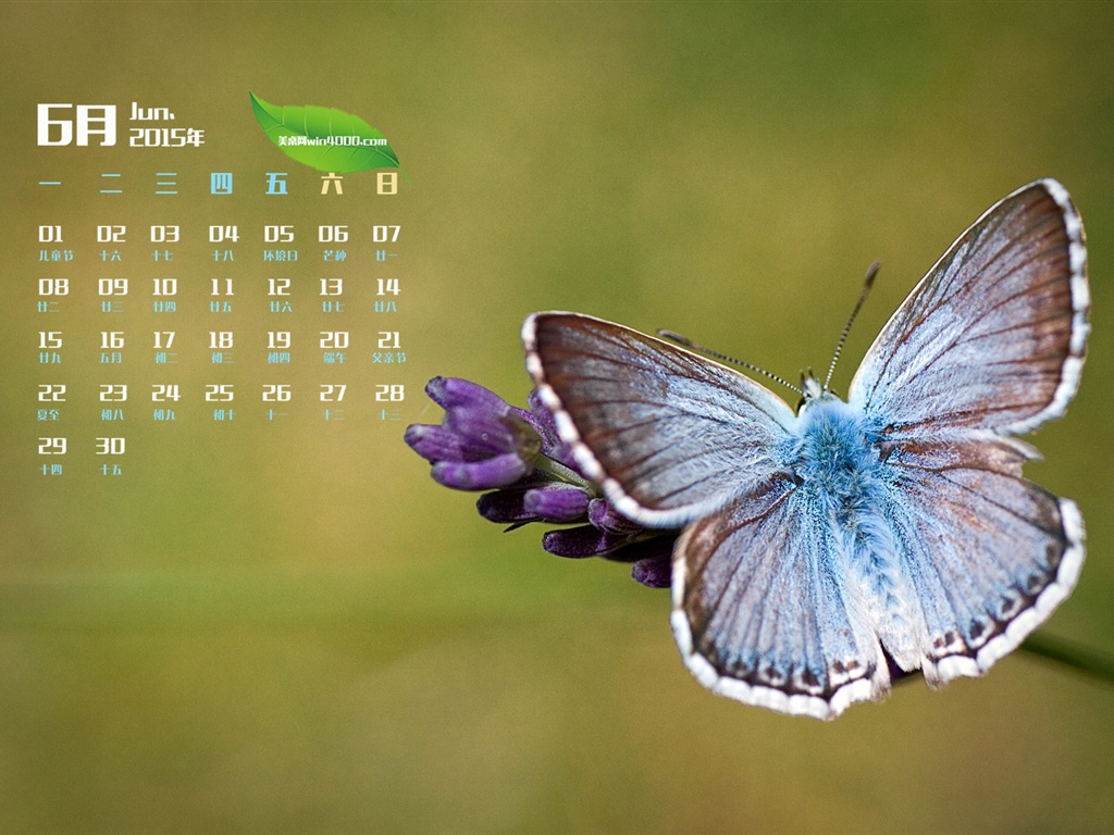 Juni 2015 Kalender Wallpaper (1) #6 - 1024x768