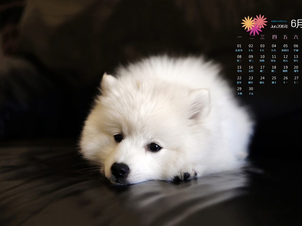 Juni 2015 Kalender Wallpaper (1) #9 - 1024x768