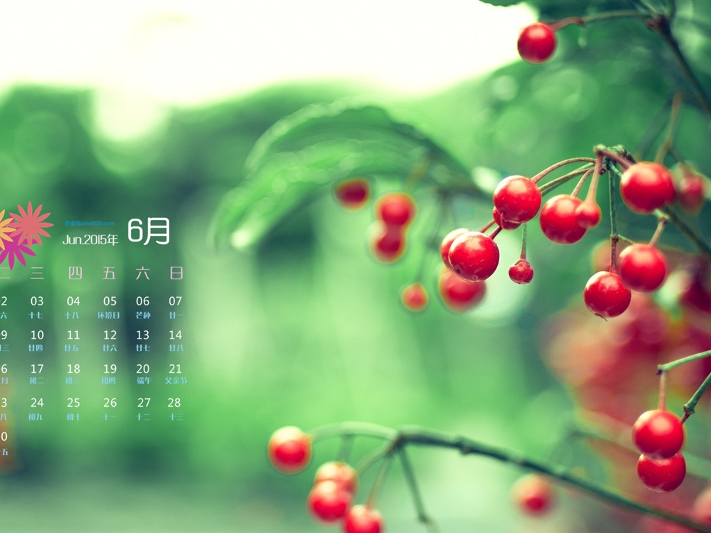 Juni 2015 Kalender Wallpaper (1) #10 - 1024x768