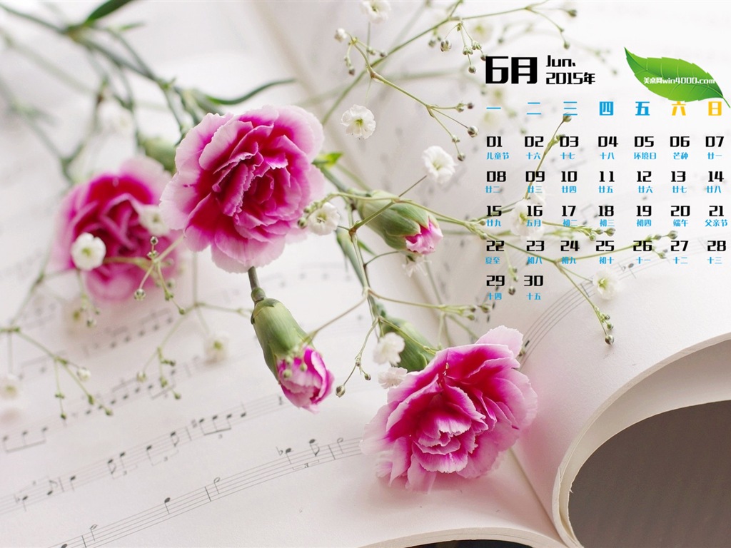 Juni 2015 Kalender Wallpaper (1) #11 - 1024x768