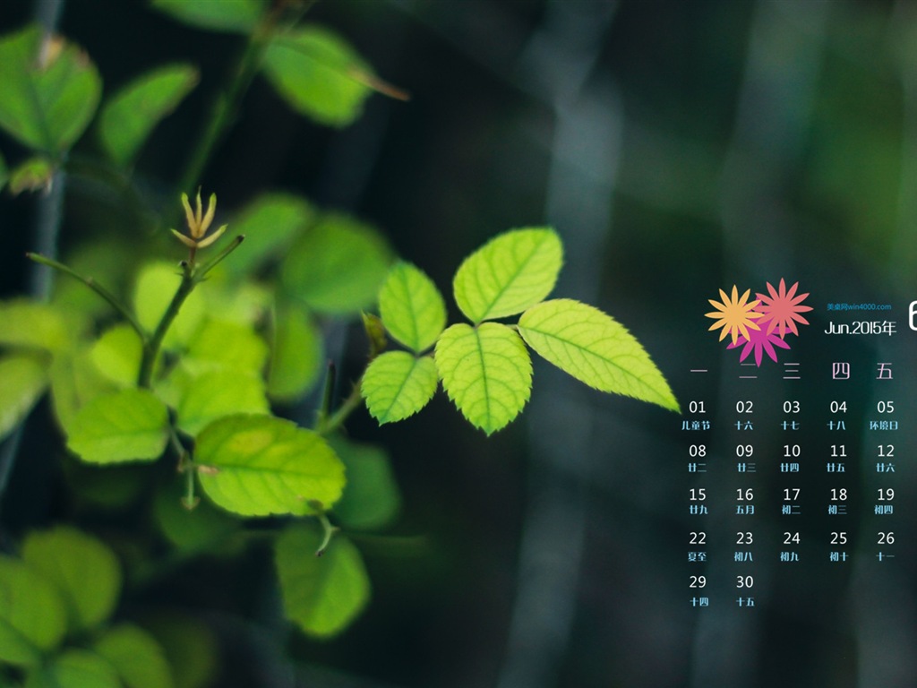 Juni 2015 Kalender Wallpaper (1) #12 - 1024x768