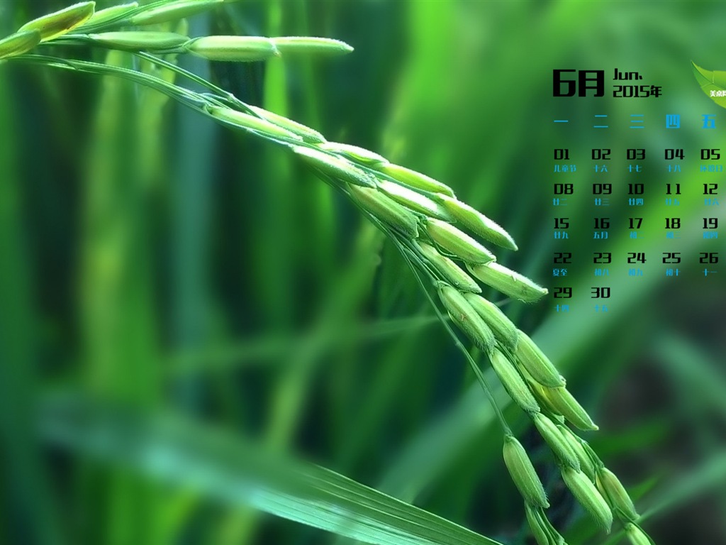 Juni 2015 Kalender Wallpaper (1) #14 - 1024x768