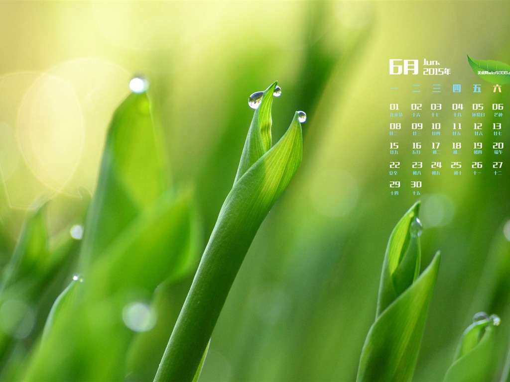 Juni 2015 Kalender Wallpaper (1) #17 - 1024x768