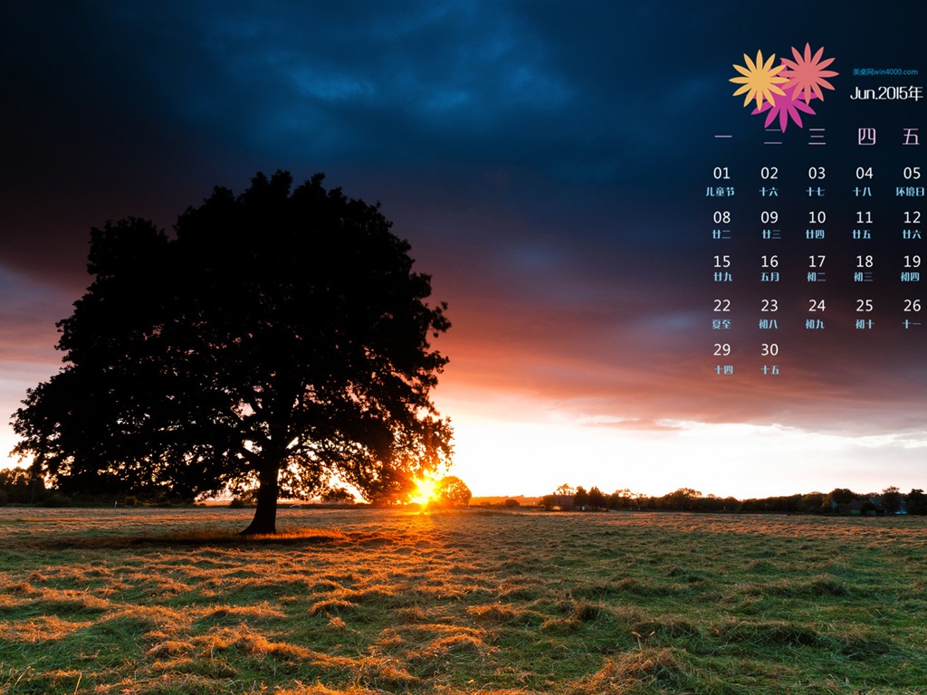 Juni 2015 Kalender Wallpaper (1) #18 - 1024x768