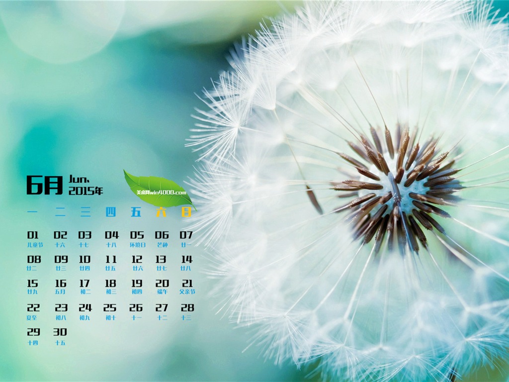 Juni 2015 Kalender Wallpaper (1) #20 - 1024x768