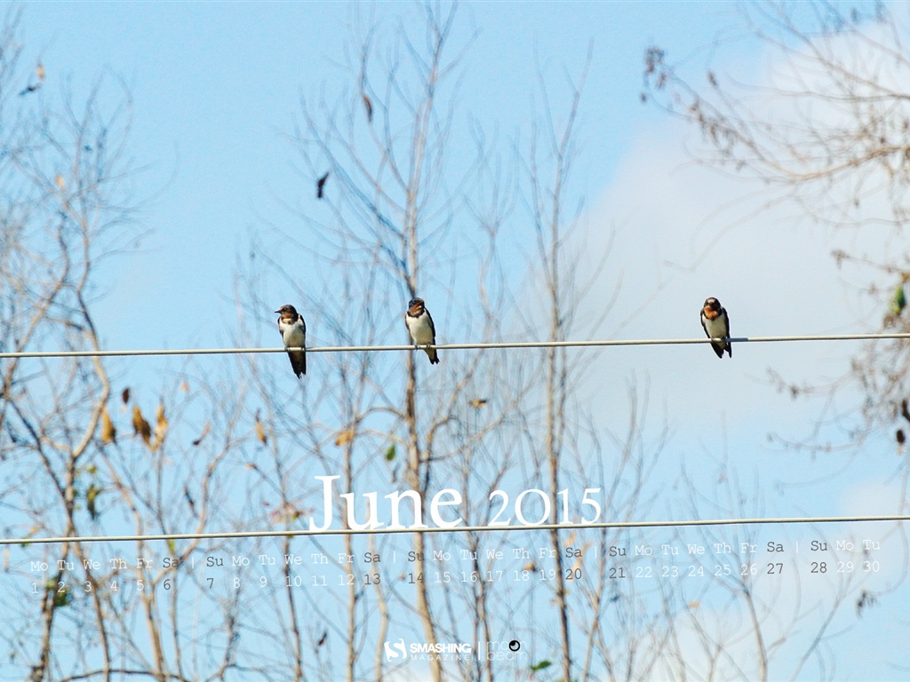 June 2015 calendar wallpaper (2) #15 - 1024x768