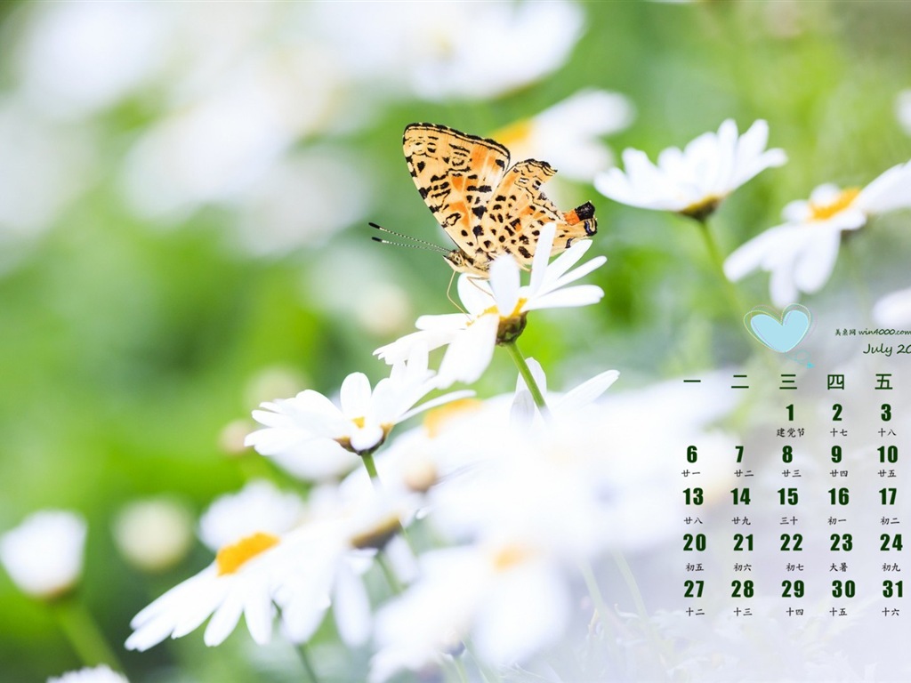 2015年7月 月曆壁紙(一) #4 - 1024x768