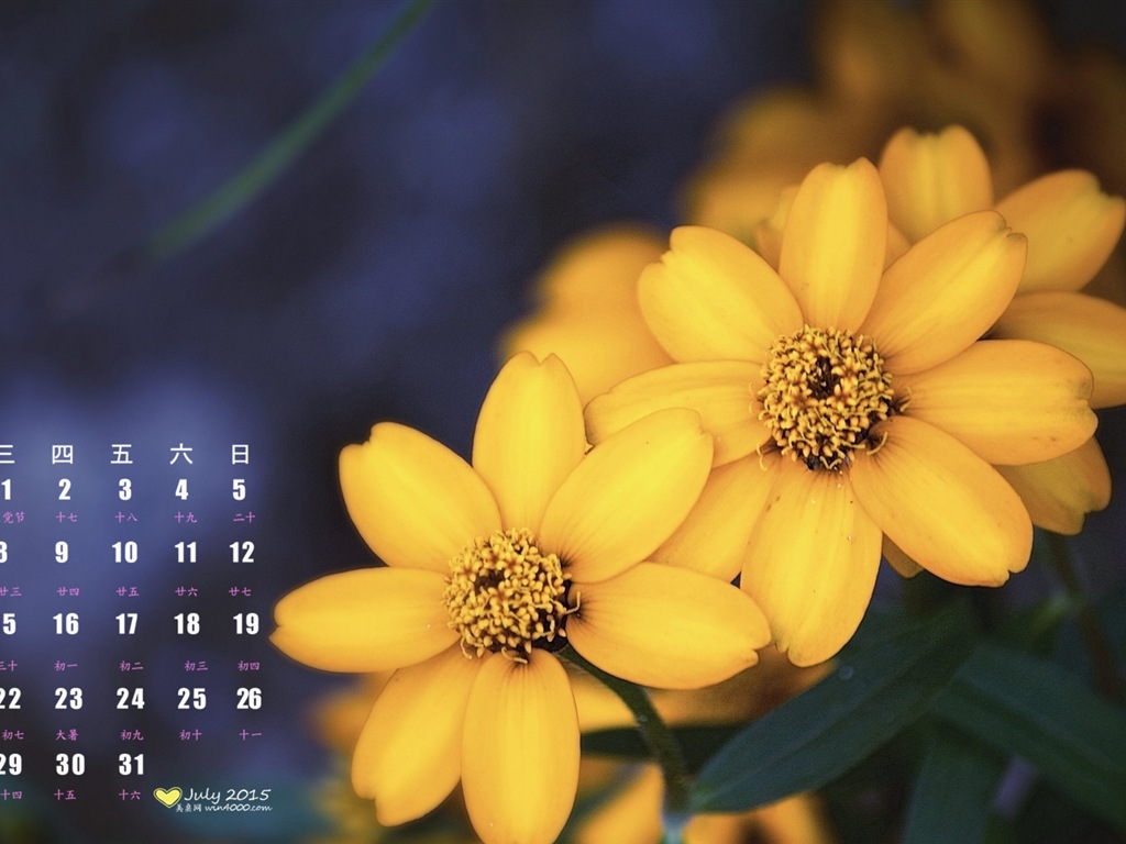 2015年7月 月曆壁紙(一) #7 - 1024x768