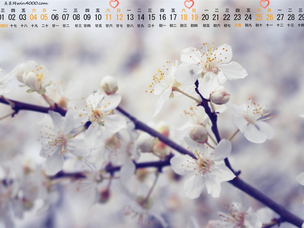 2015年7月 月曆壁紙(一) #10 - 1024x768