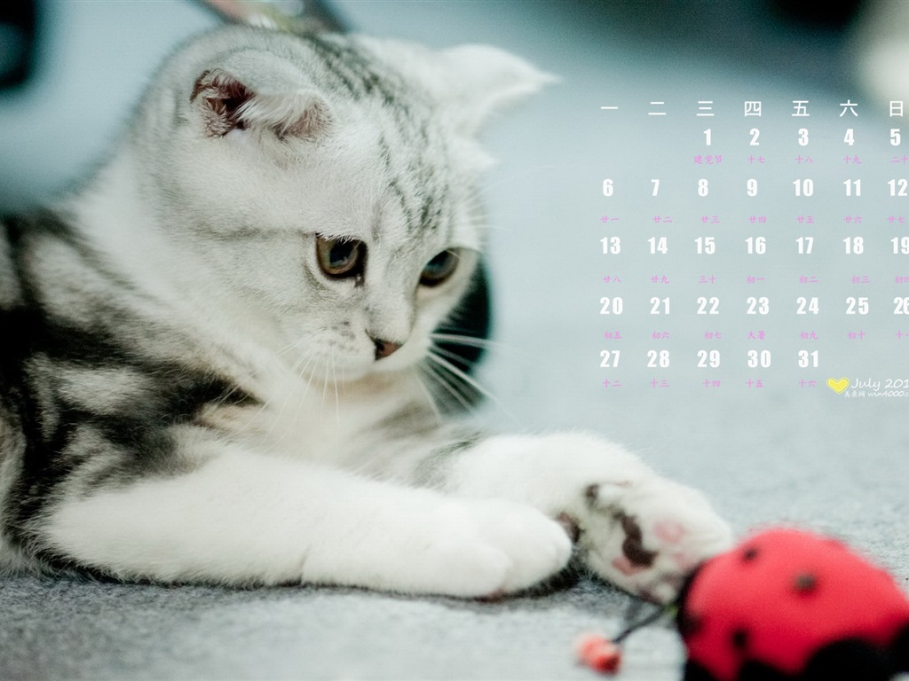 2015年7月 月曆壁紙(一) #11 - 1024x768