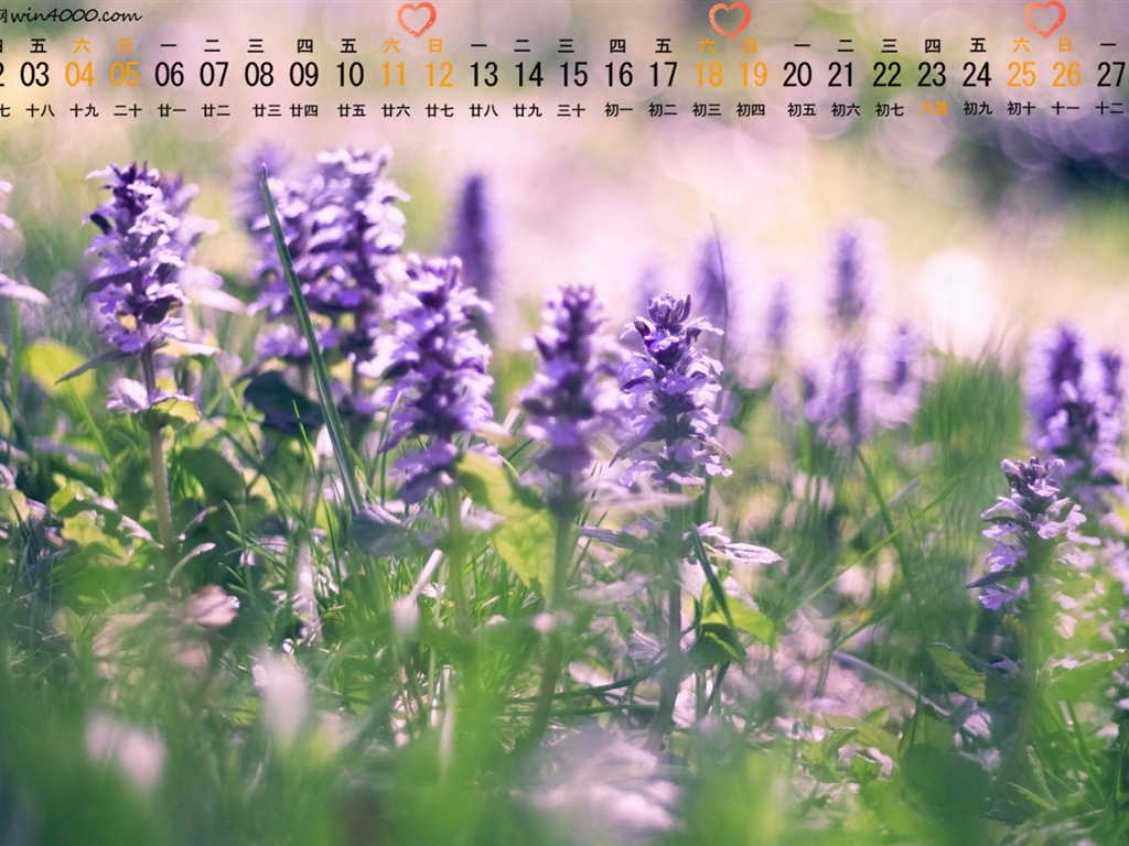 2015年7月 月曆壁紙(一) #12 - 1024x768
