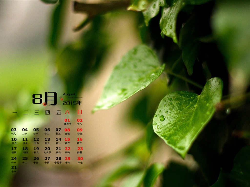 August 2015 calendar wallpaper (1) #11 - 1024x768