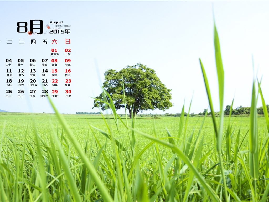 2015年8月 月曆壁紙(一) #13 - 1024x768