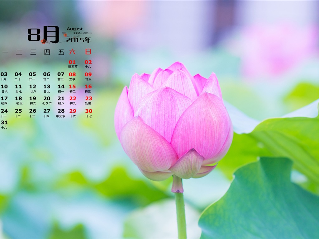 2015年8月 月曆壁紙(一) #15 - 1024x768