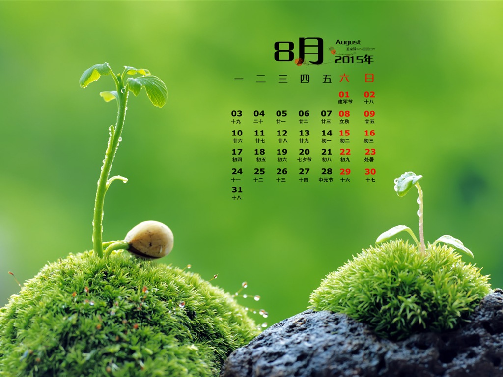 August 2015 Kalender Wallpaper (1) #16 - 1024x768