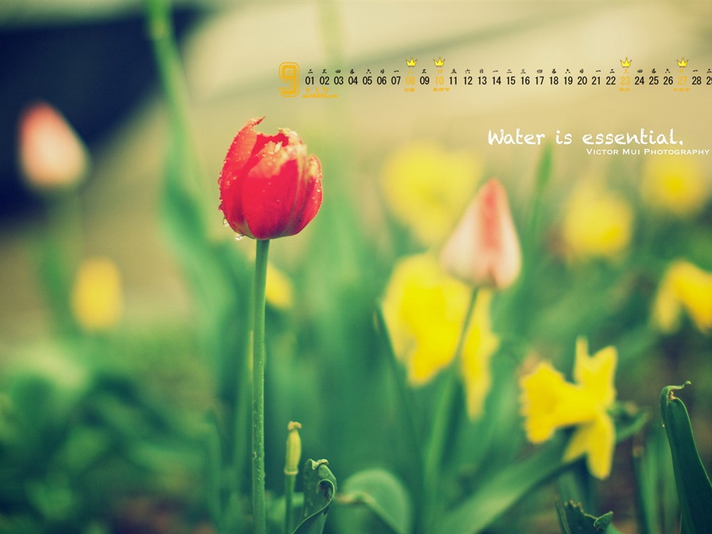 September 2015 calendar wallpaper (1) #3 - 1024x768