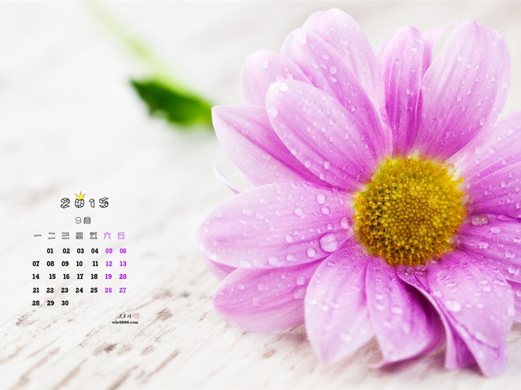 2015年9月 月曆壁紙(一) #14 - 1024x768