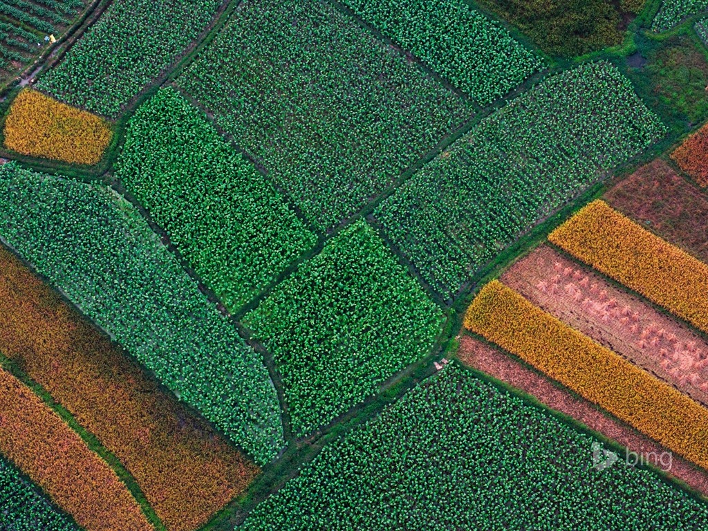 Abril de 2015 fondos de pantalla HD Bing #16 - 1024x768