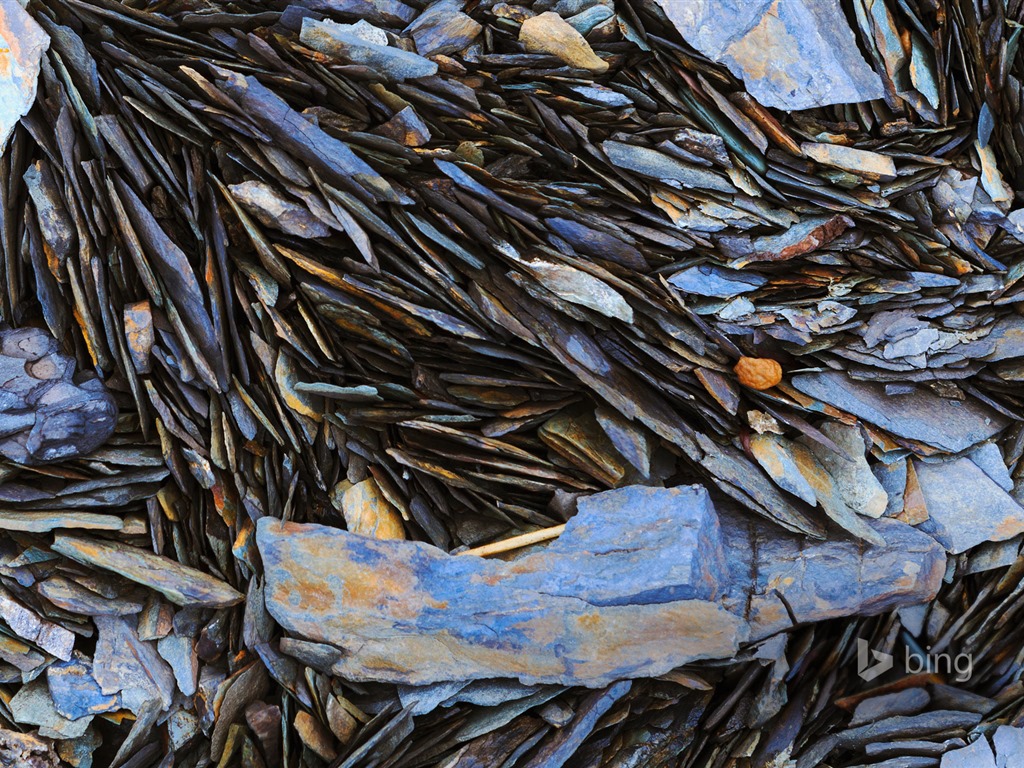 Mai 2015 fonds d'écran HD Bing #29 - 1024x768