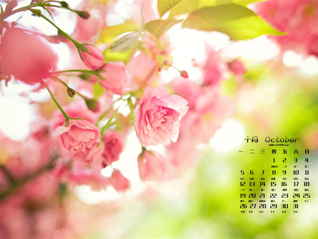 2015年10月 月曆壁紙(一) #9 - 1024x768