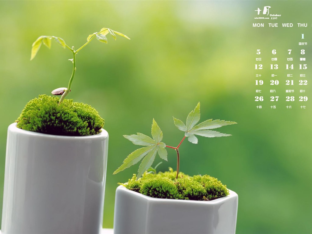 2015年10月 月曆壁紙(一) #18 - 1024x768