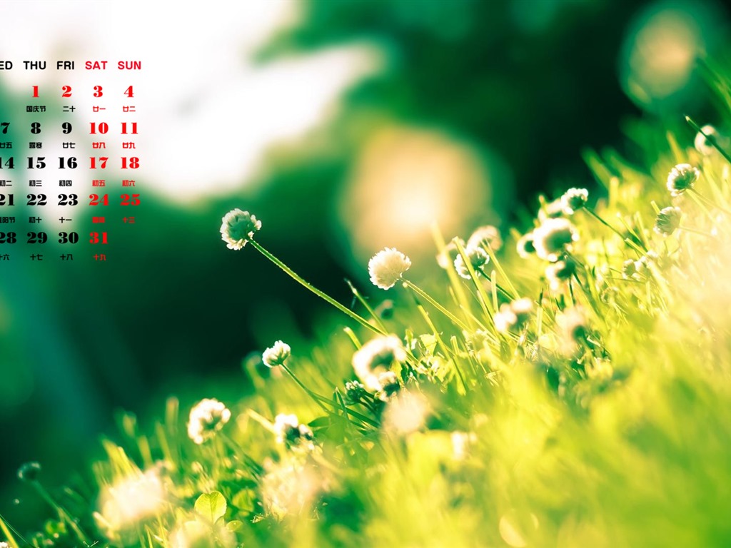 October 2015 calendar wallpaper (1) #20 - 1024x768