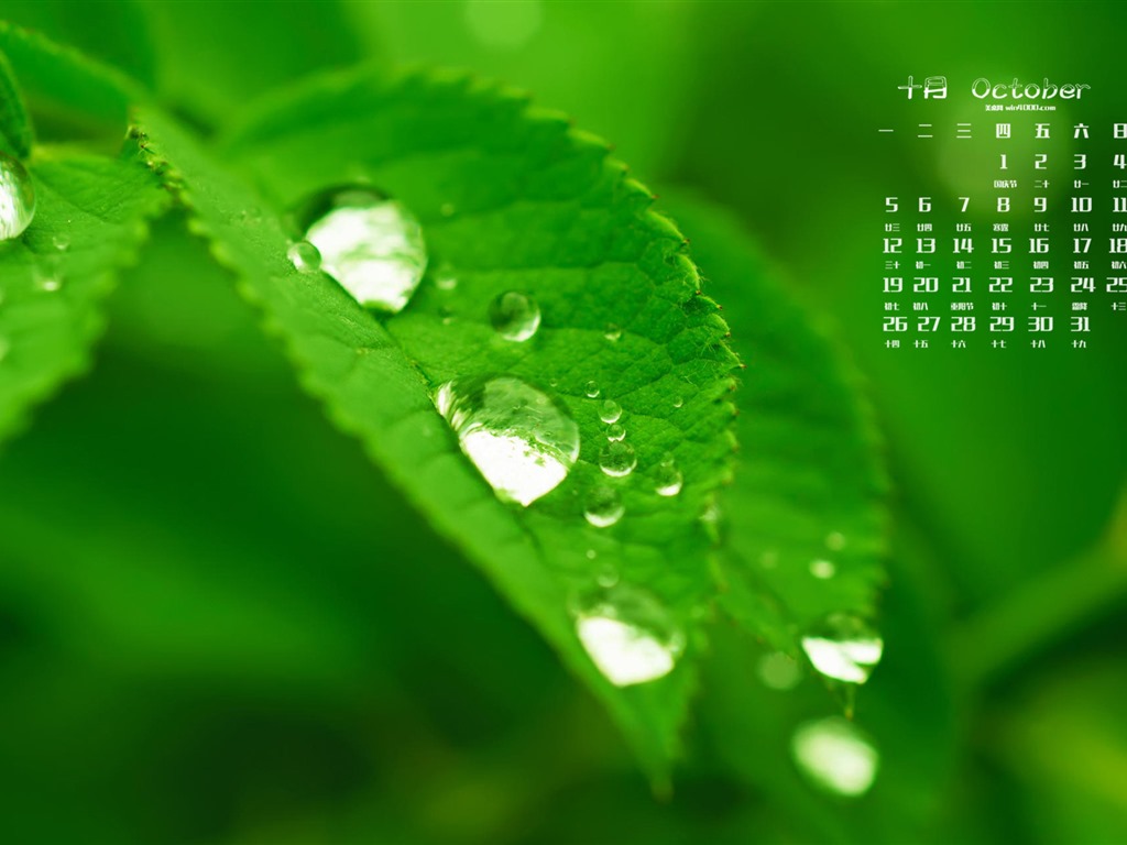 Oktober 2015 Kalender Wallpaper (2) #5 - 1024x768