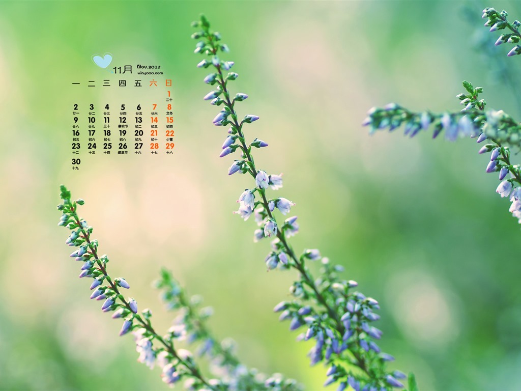 2015年11月 月曆壁紙(一) #14 - 1024x768