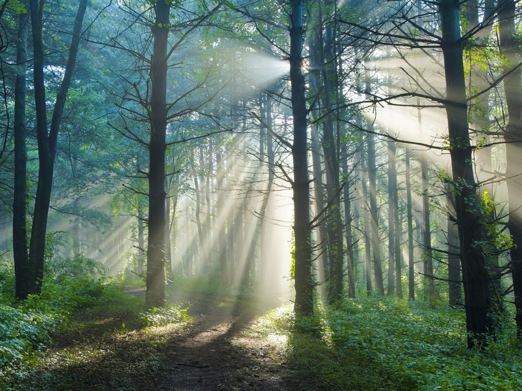 Les arbres, les montagnes, l'eau, lever et coucher du paysage de nature, fonds d'écran HD #23 - 1024x768