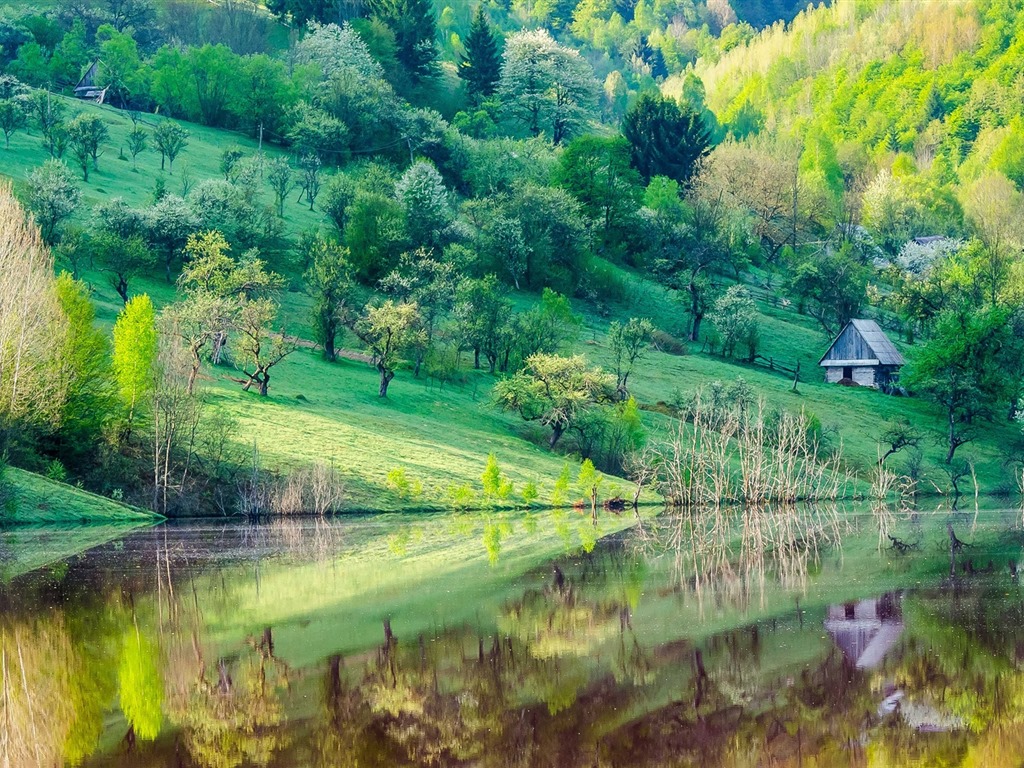 Les arbres, les montagnes, l'eau, lever et coucher du paysage de nature, fonds d'écran HD #24 - 1024x768