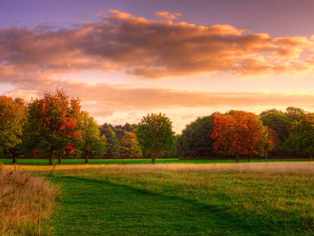 Les arbres, les montagnes, l'eau, lever et coucher du paysage de nature, fonds d'écran HD #34 - 1024x768