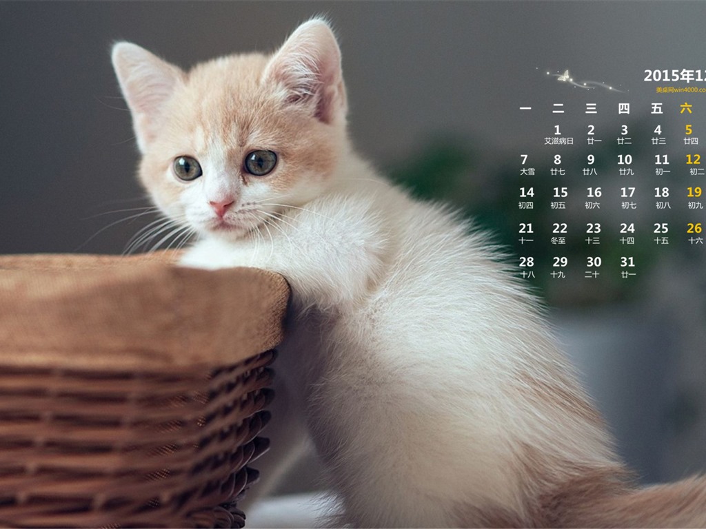 2015年12月 月曆壁紙(一) #5 - 1024x768