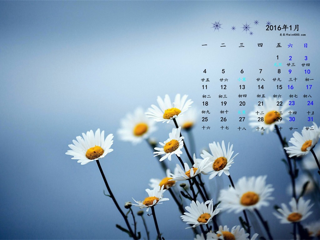 Januar 2016 Kalender Wallpaper (1) #3 - 1024x768