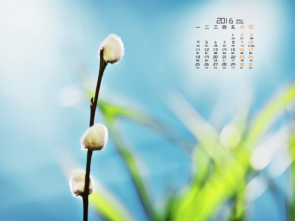 Januar 2016 Kalender Wallpaper (1) #10 - 1024x768