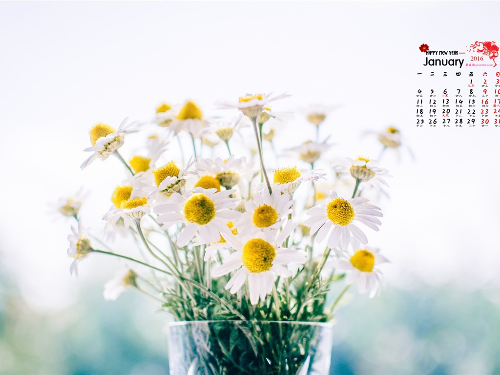 Januar 2016 Kalender Wallpaper (1) #15 - 1024x768