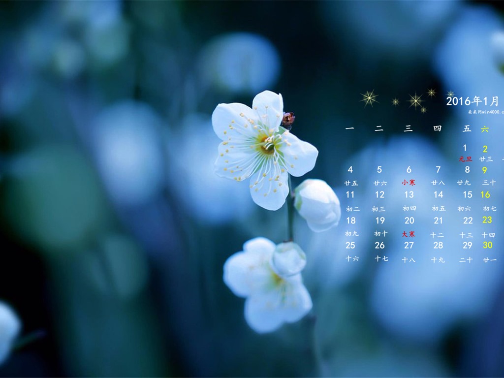 Januar 2016 Kalender Wallpaper (1) #19 - 1024x768