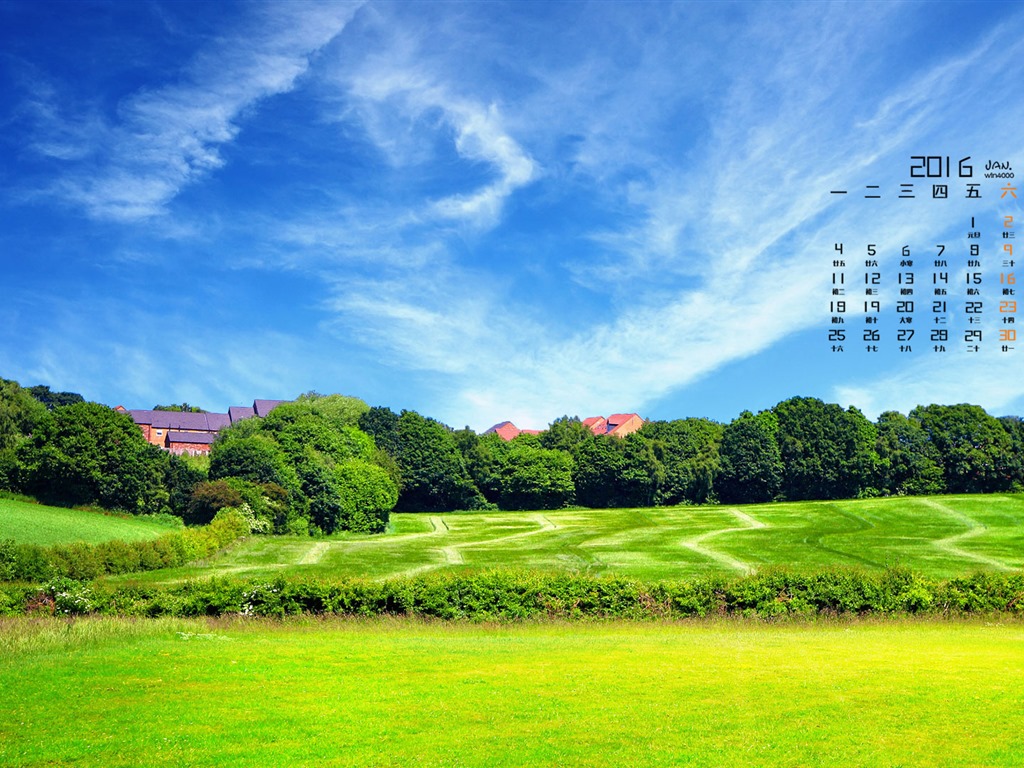 January 2016 calendar wallpaper (2) #3 - 1024x768