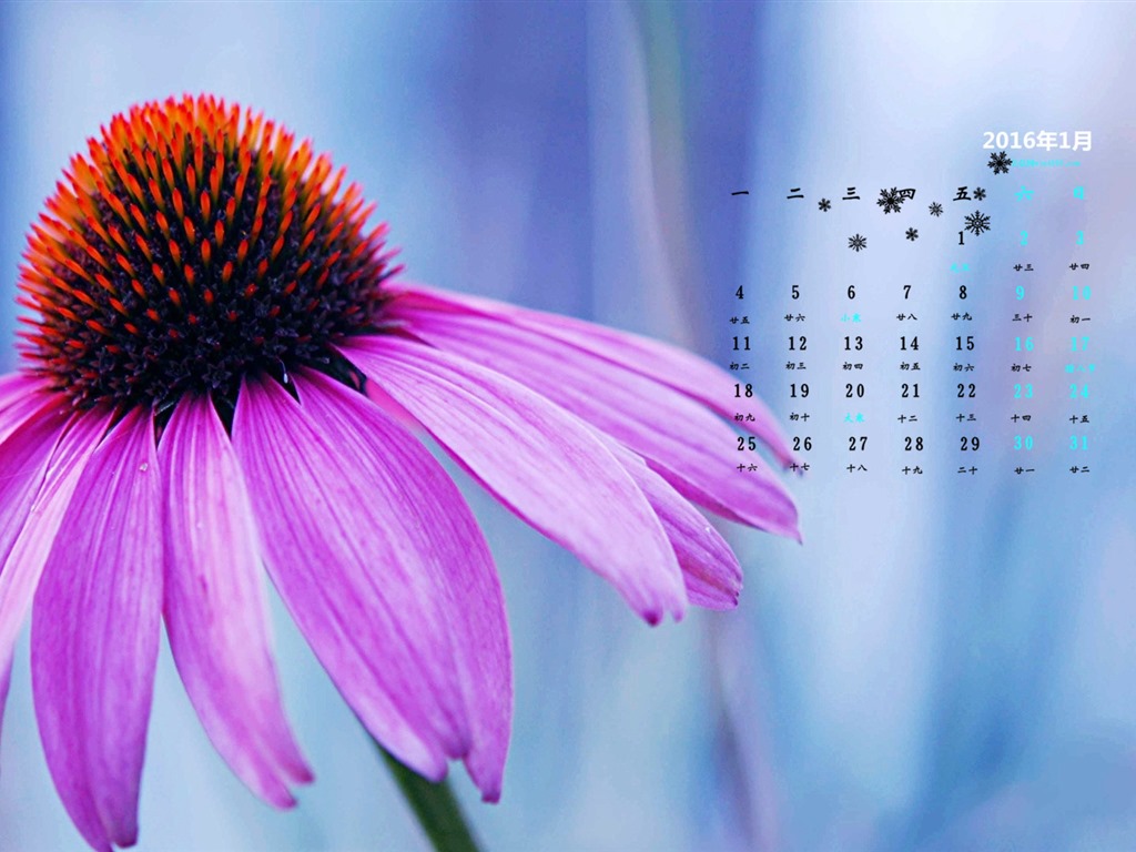 January 2016 calendar wallpaper (2) #5 - 1024x768