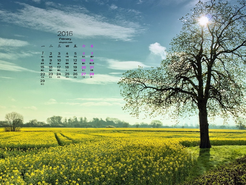 February 2016 Calendar wallpaper (1) #5 - 1024x768