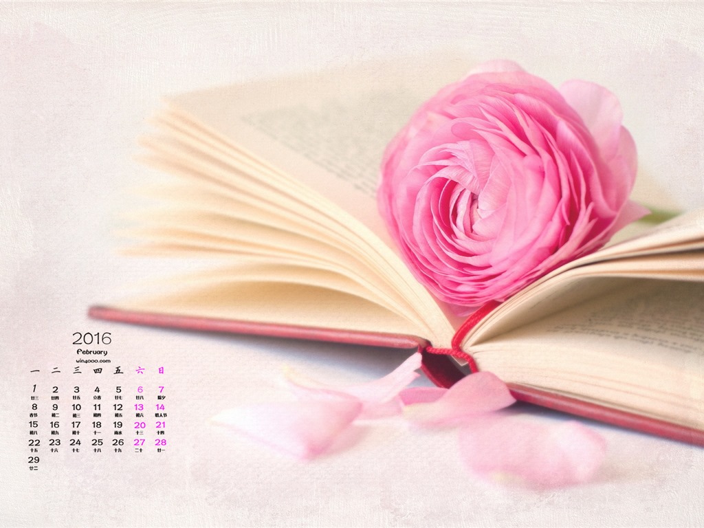 Februar 2016 Kalender Wallpaper (1) #12 - 1024x768