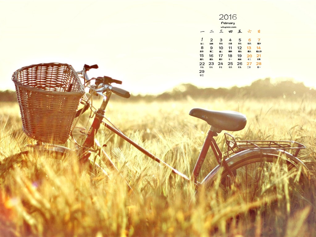 February 2016 Calendar wallpaper (1) #14 - 1024x768