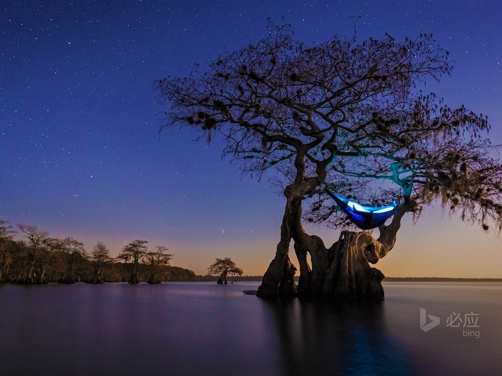 Janvier 2016 fonds d'écran Bing thème HD #22 - 1024x768