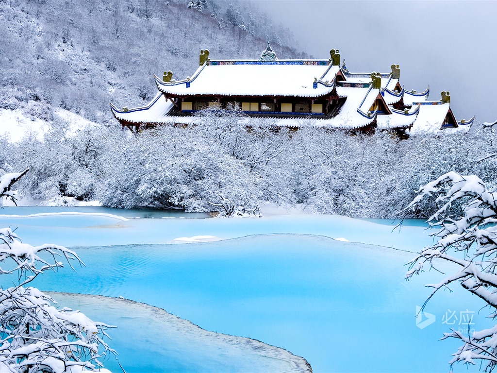 Ledna 2016 Bing téma HD tapety na plochu #32 - 1024x768