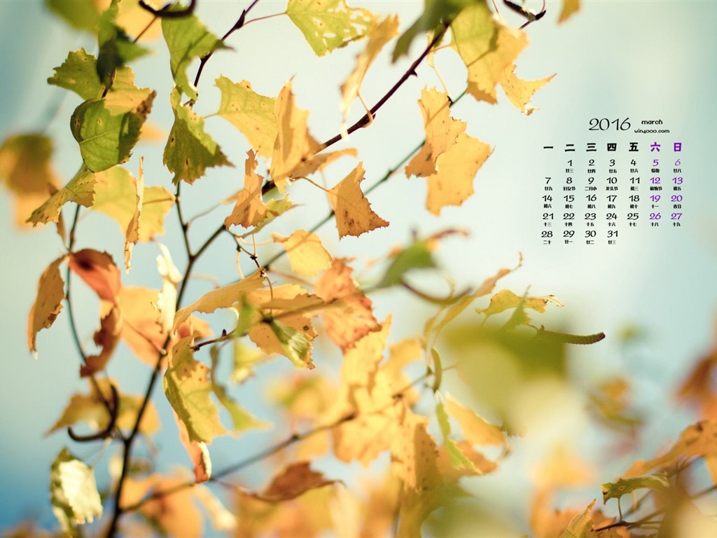 2016年3月 月曆壁紙(一) #6 - 1024x768
