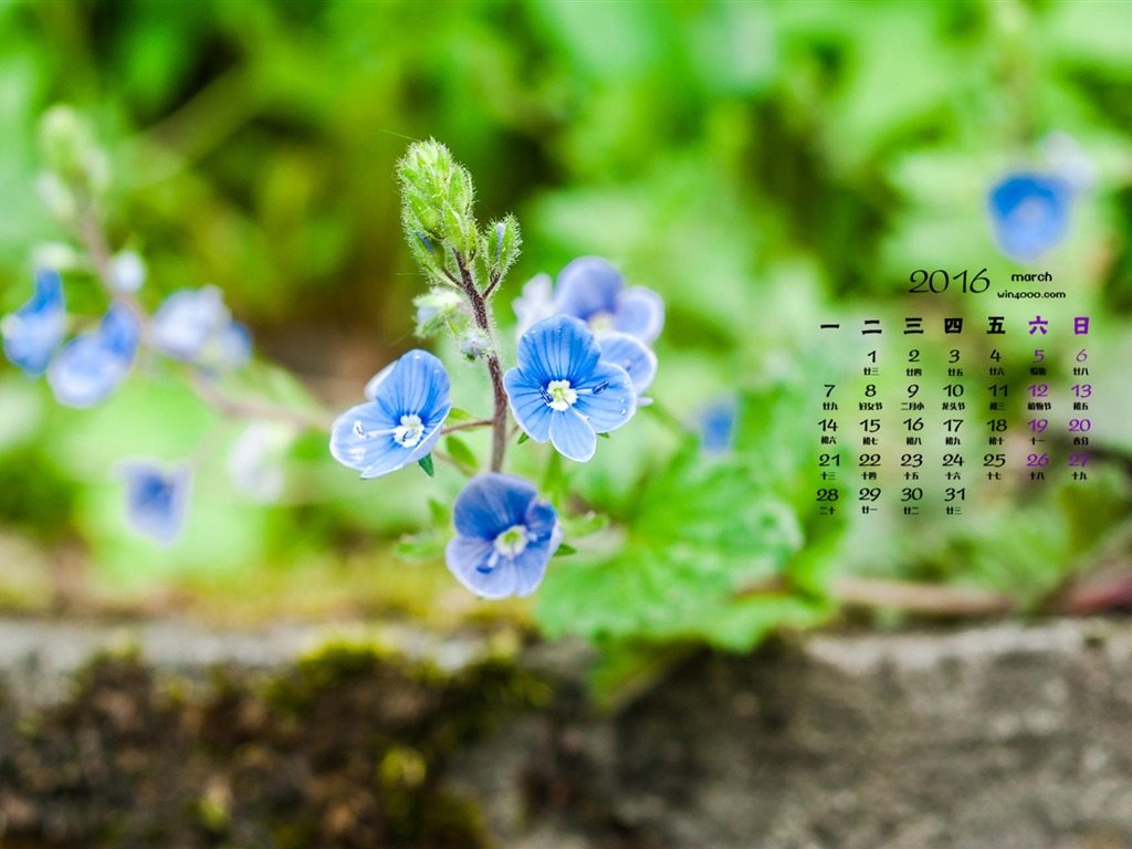 March 2016 calendar wallpaper (1) #10 - 1024x768