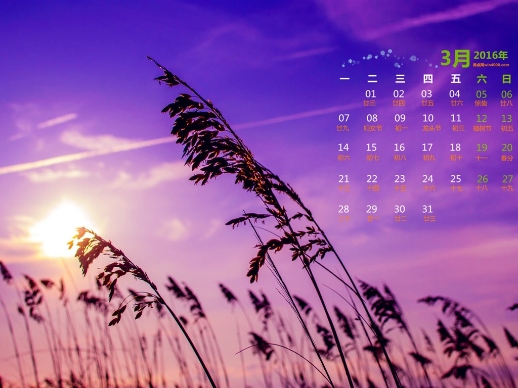 2016年3月 月曆壁紙(一) #11 - 1024x768