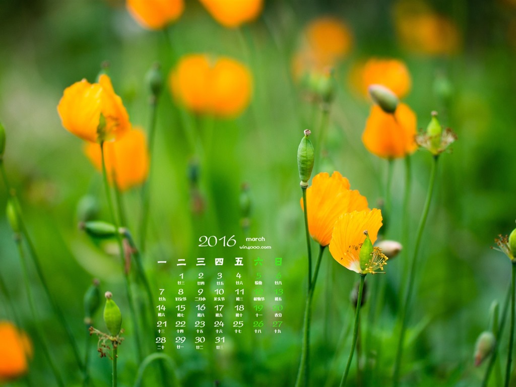 March 2016 calendar wallpaper (1) #14 - 1024x768