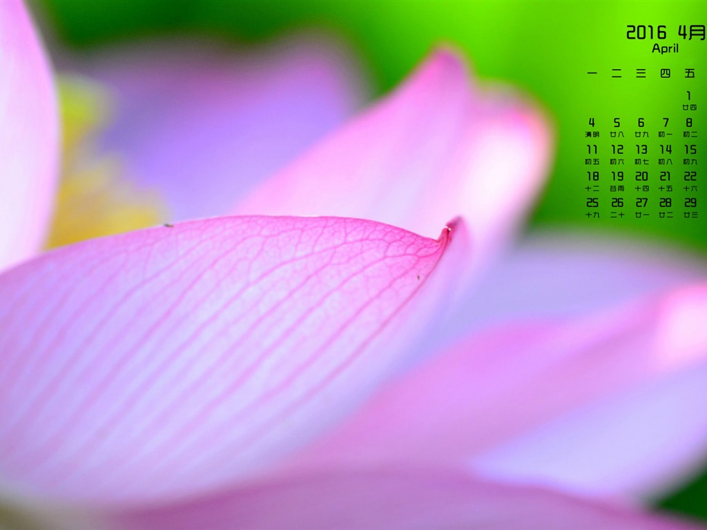 2016年4月 月曆壁紙(一) #18 - 1024x768