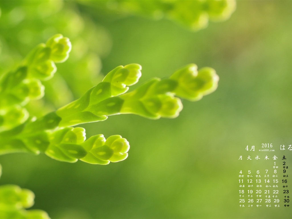 2016年4月 月曆壁紙(二) #2 - 1024x768