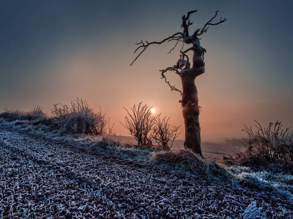 Humanities and the natural landscape computer wallpapers #11 - 1024x768